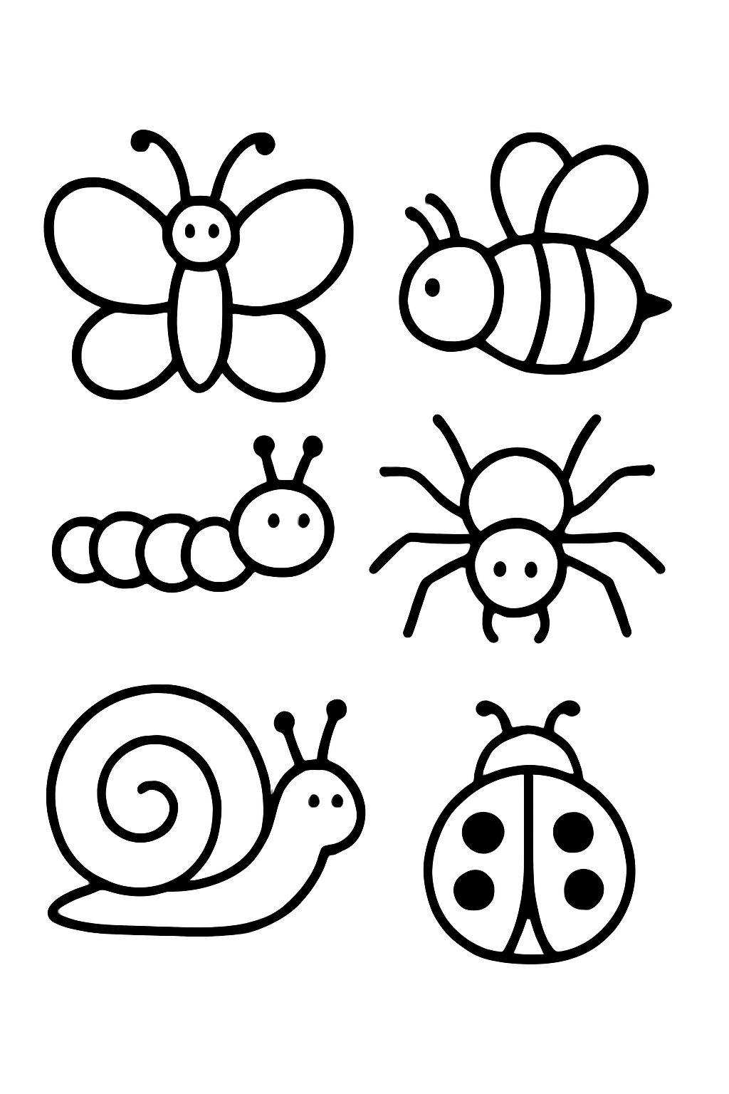 Lots of different minibeasts