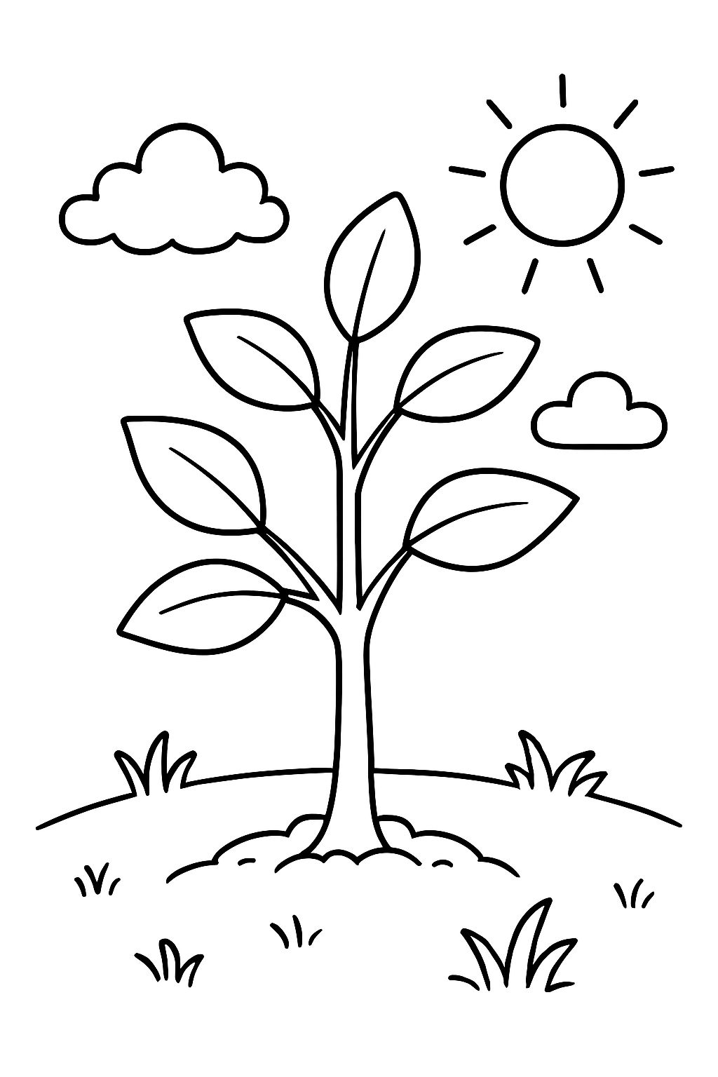 un arbre qui pousse un arbre qui pousse